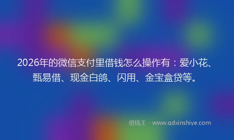 2026年的微信支付里借钱怎么操作有:爱小花、甄易借、现金白鸽、闪用、金宝盒贷等。