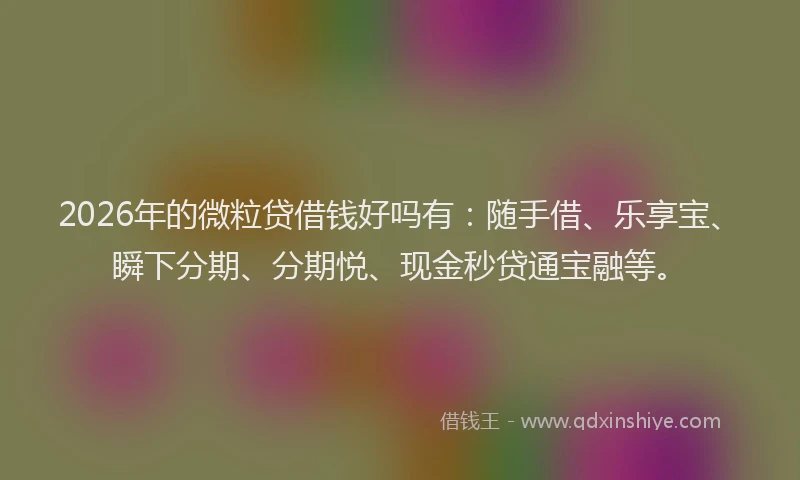 2026年的微粒贷借钱好吗有:随手借、乐享宝、瞬下分期、分期悦、现金秒贷通宝融等。