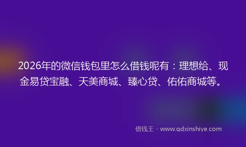 2026年的微信钱包里怎么借钱呢有：理想给、现金易贷宝融、天美商城、臻心贷、佑佑商城等。