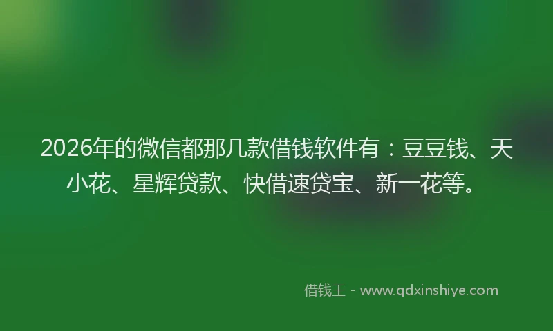 2026年的微信都那几款借钱软件有:豆豆钱、天小花、星辉贷款、快借速贷宝、新一花等。