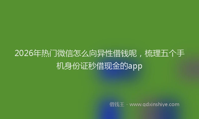 2026年热门微信怎么向异性借钱呢，梳理五个手机身份证秒借现金的app