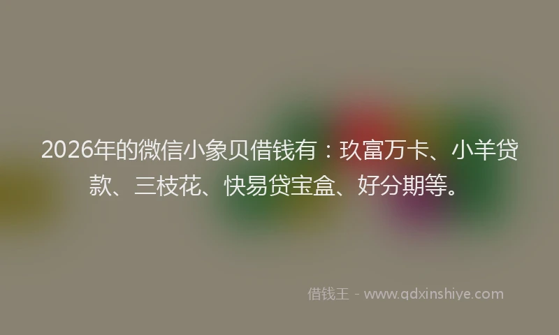 2026年的微信小象贝借钱有:玖富万卡、小羊贷款、三枝花、快易贷宝盒、好分期等。