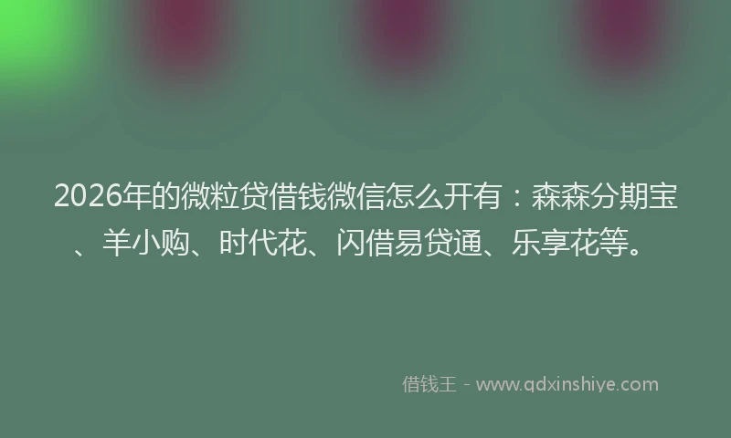 2026年的微粒贷借钱微信怎么开有：森森分期宝、羊小购、时代花、闪借易贷通、乐享花等。