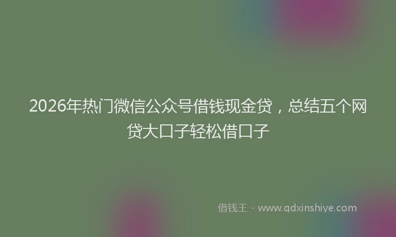 2026年热门微信公众号借钱现金贷，总结五个网贷大口子轻松借口子