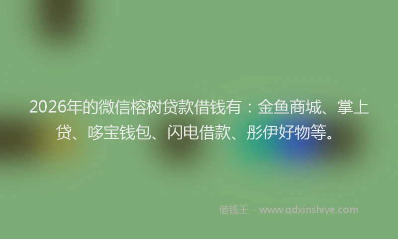 2026年的微信榕树贷款借钱有：金鱼商城、掌上贷、哆宝钱包、闪电借款、彤伊好物等。