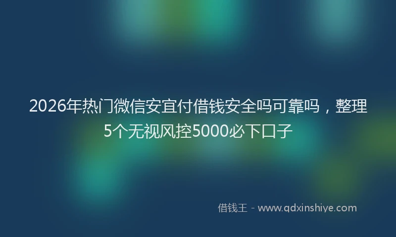 2026年热门微信安宜付借钱安全吗可靠吗，整理5个无视风控5000必下口子