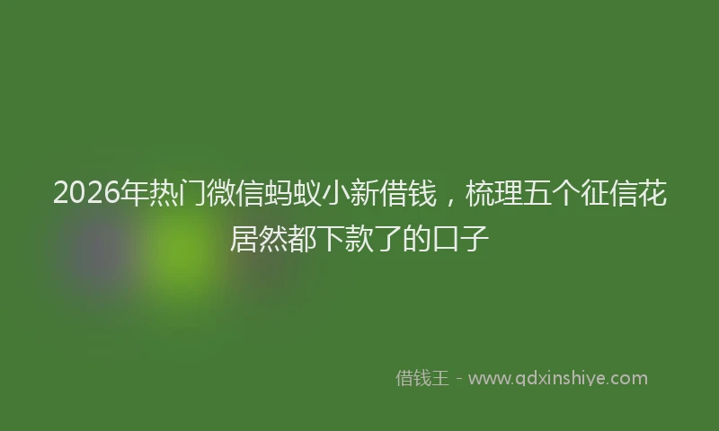 2026年热门微信蚂蚁小新借钱，梳理五个征信花居然都下款了的口子