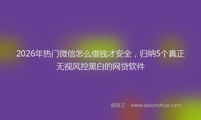 2026年热门微信怎么借钱才安全，归纳5个真正无视风控黑白的网贷软件