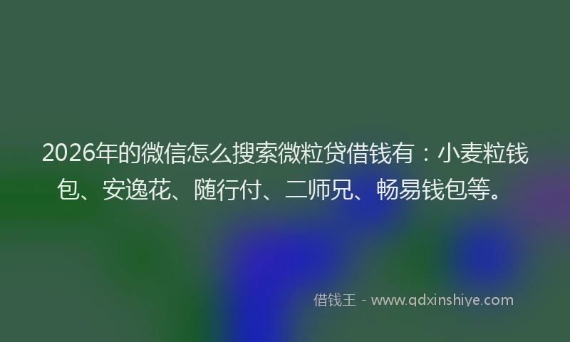 2026年的微信怎么搜索微粒贷借钱有：小麦粒钱包、安逸花、随行付、二师兄、畅易钱包等。