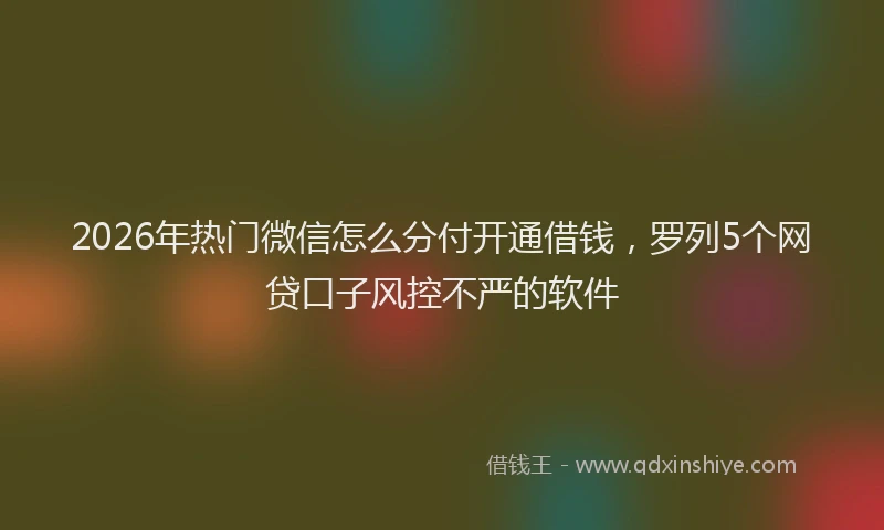 2026年热门微信怎么分付开通借钱，罗列5个网贷口子风控不严的软件