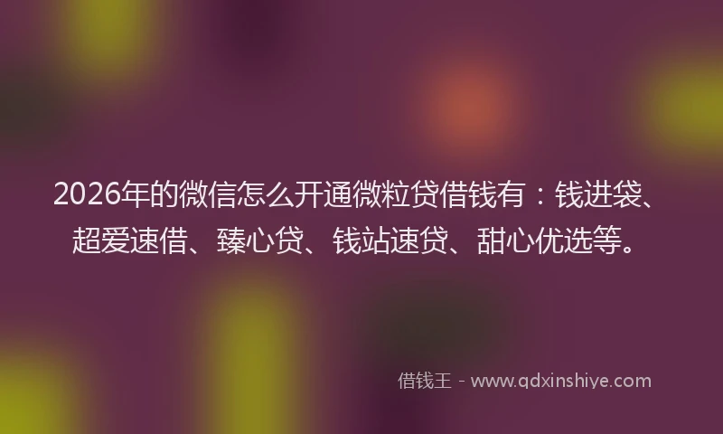 2026年的微信怎么开通微粒贷借钱有：钱进袋、超爱速借、臻心贷、钱站速贷、甜心优选等。
