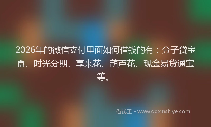 2026年的微信支付里面如何借钱的有：分子贷宝盒、时光分期、享来花、葫芦花、现金易贷通宝等。