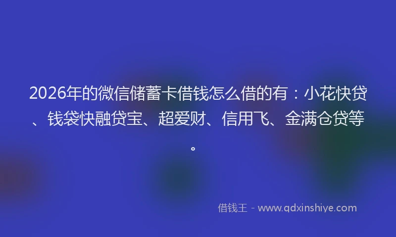 2026年的微信储蓄卡借钱怎么借的有：小花快贷、钱袋快融贷宝、超爱财、信用飞、金满仓贷等。