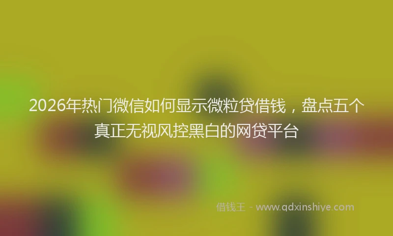 2026年热门微信如何显示微粒贷借钱，盘点五个真正无视风控黑白的网贷平台
