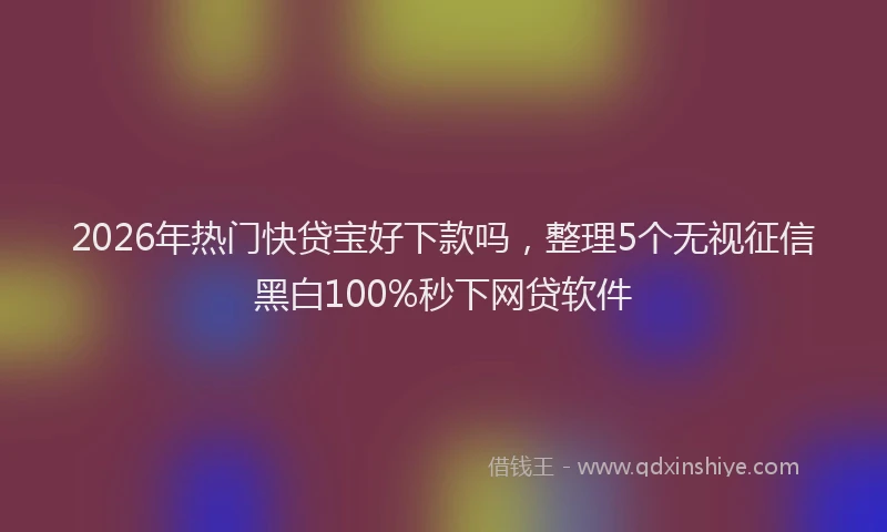 2026年热门快贷宝好下款吗，整理5个无视征信黑白100%秒下网贷软件