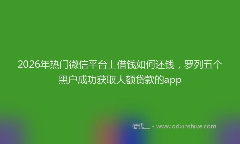 2026年热门微信平台上借钱如何还钱,罗列五个黑户成功获取大额贷款的app