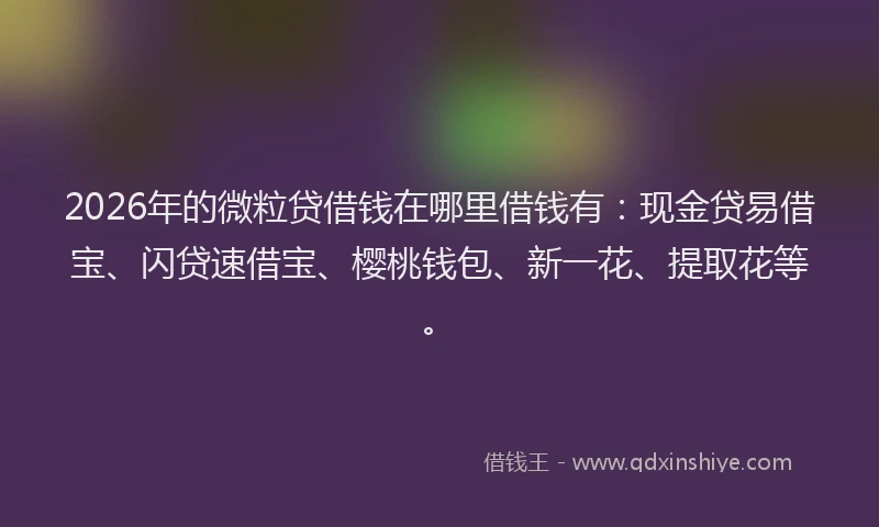 2026年的微粒贷借钱在哪里借钱有:现金贷易借宝、闪贷速借宝、樱桃钱包、新一花、提取花等。