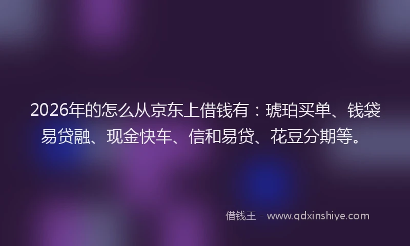 2026年的怎么从京东上借钱有：琥珀买单、钱袋易贷融、现金快车、信和易贷、花豆分期等。