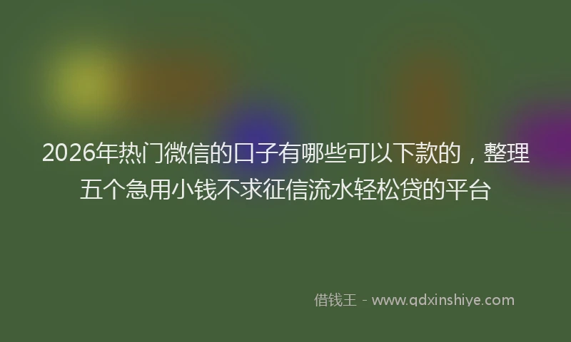 2026年热门微信的口子有哪些可以下款的，整理五个急用小钱不求征信流水轻松贷的平台