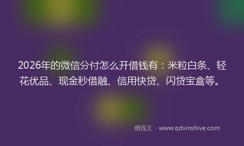 2026年的微信分付怎么开借钱有：米粒白条、轻花优品、现金秒借融、信用快贷、闪贷宝盒等。