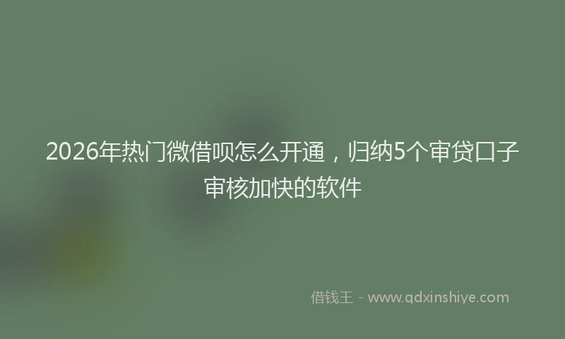 2026年热门微借呗怎么开通，归纳5个审贷口子审核加快的软件