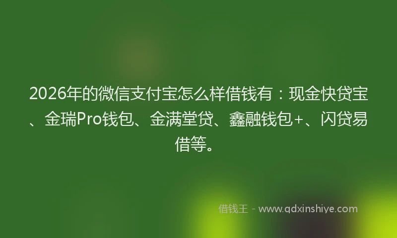 2026年的微信支付宝怎么样借钱有：现金快贷宝、金瑞Pro钱包、金满堂贷、鑫融钱包+、闪贷易借等。