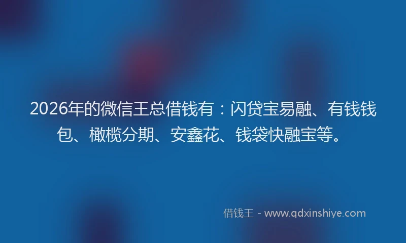 2026年的微信王总借钱有：闪贷宝易融、有钱钱包、橄榄分期、安鑫花、钱袋快融宝等。