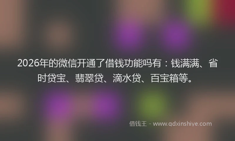 2026年的微信开通了借钱功能吗有:钱满满、省时贷宝、翡翠贷、滴水贷、百宝箱等。