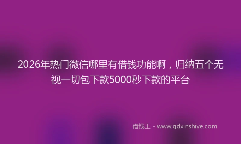 2026年热门微信哪里有借钱功能啊,归纳五个无视一切包下款5000秒下款的平台
