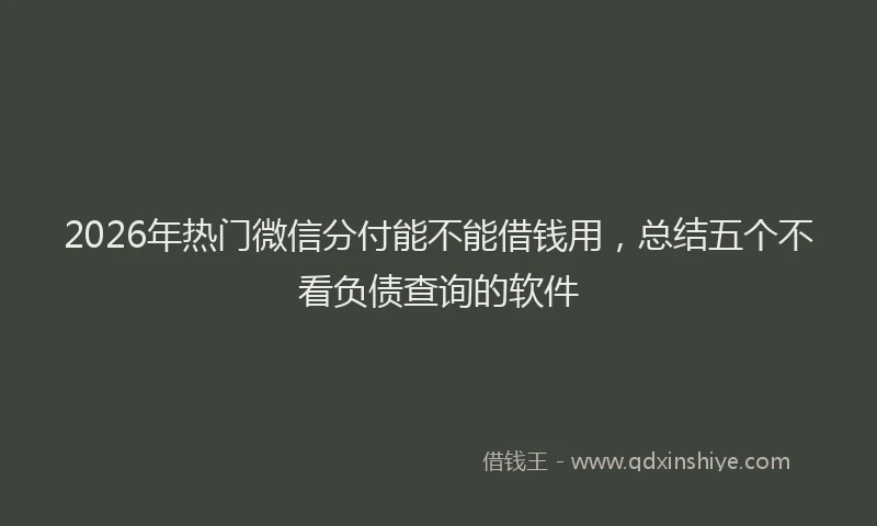 2026年热门微信分付能不能借钱用，总结五个不看负债查询的软件