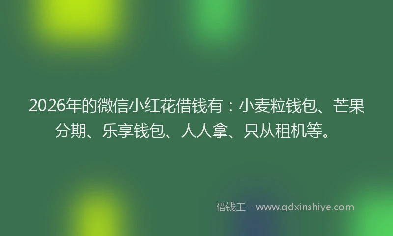 2026年的微信小红花借钱有：小麦粒钱包、芒果分期、乐享钱包、人人拿、只从租机等。
