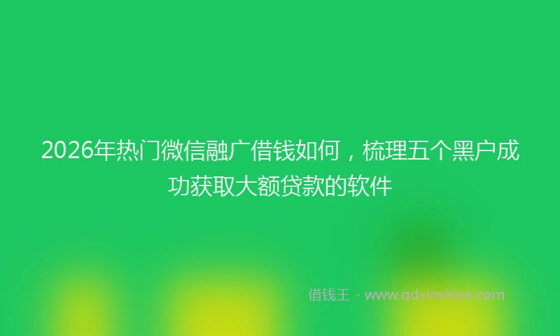 2026年热门微信融广借钱如何,梳理五个黑户成功获取大额贷款的软件