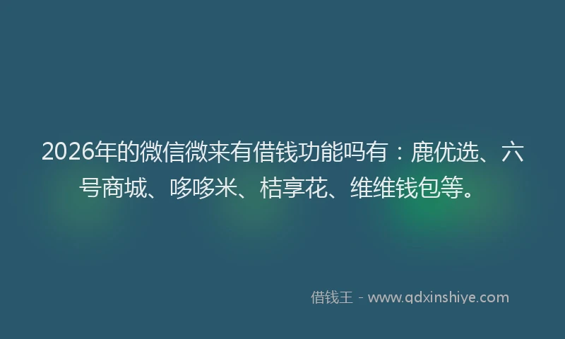 2026年的微信微来有借钱功能吗有:鹿优选、六号商城、哆哆米、桔享花、维维钱包等。