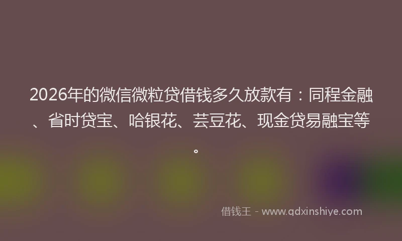 2026年的微信微粒贷借钱多久放款有：同程金融、省时贷宝、哈银花、芸豆花、现金贷易融宝等。