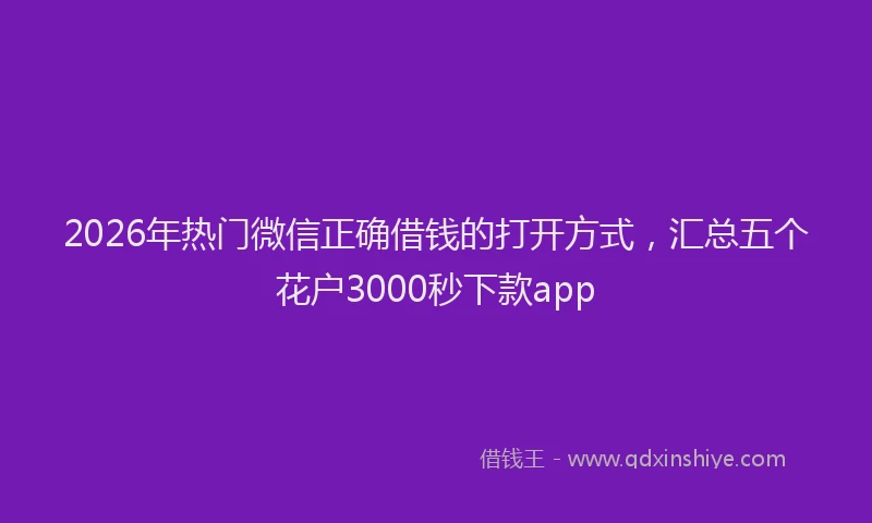 2026年热门微信正确借钱的打开方式，汇总五个花户3000秒下款app