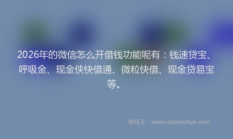 2026年的微信怎么开借钱功能呢有：钱速贷宝、呼吸金、现金侠快借通、微粒快借、现金贷易宝等。