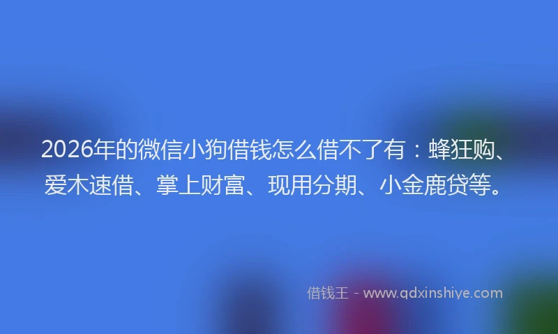 2026年的微信小狗借钱怎么借不了有:蜂狂购、爱木速借、掌上财富、现用分期、小金鹿贷等。