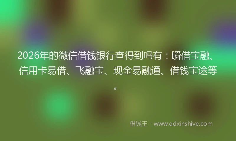 2026年的微信借钱银行查得到吗有：瞬借宝融、信用卡易借、飞融宝、现金易融通、借钱宝途等。