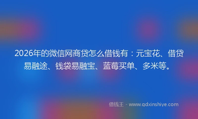2026年的微信网商贷怎么借钱有：元宝花、借贷易融途、钱袋易融宝、蓝莓买单、多米等。
