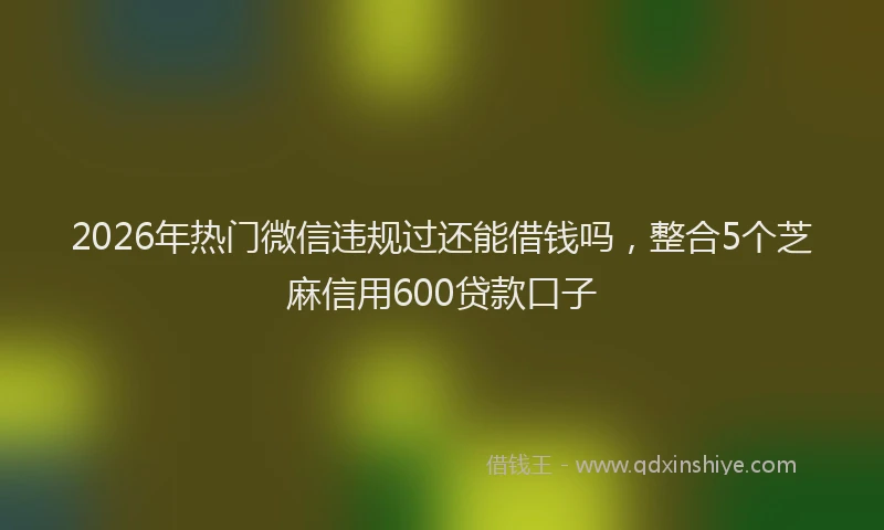 2026年热门微信违规过还能借钱吗，整合5个芝麻信用600贷款口子