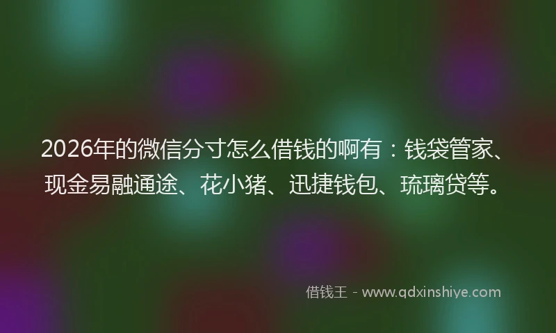 2026年的微信分寸怎么借钱的啊有：钱袋管家、现金易融通途、花小猪、迅捷钱包、琉璃贷等。