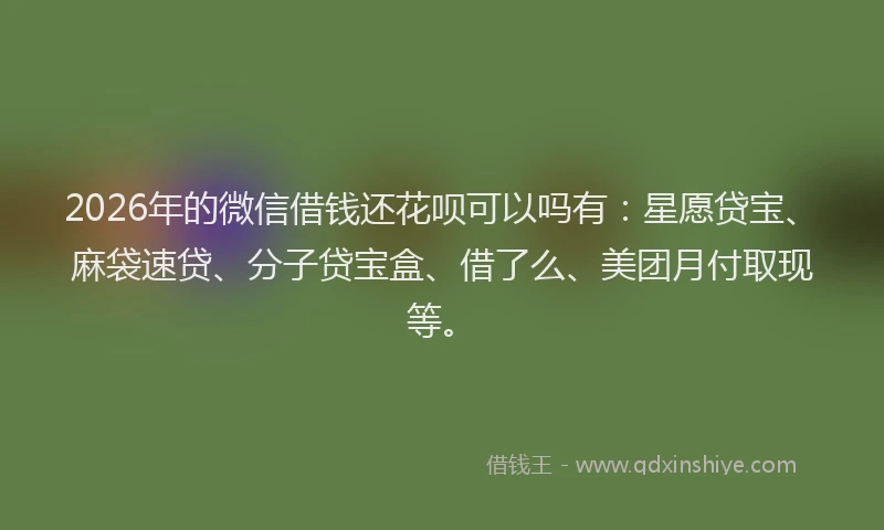 2026年的微信借钱还花呗可以吗有：星愿贷宝、麻袋速贷、分子贷宝盒、借了么、美团月付取现等。