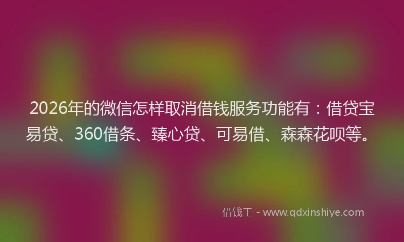 2026年的微信怎样取消借钱服务功能有：借贷宝易贷、360借条、臻心贷、可易借、森森花呗等。