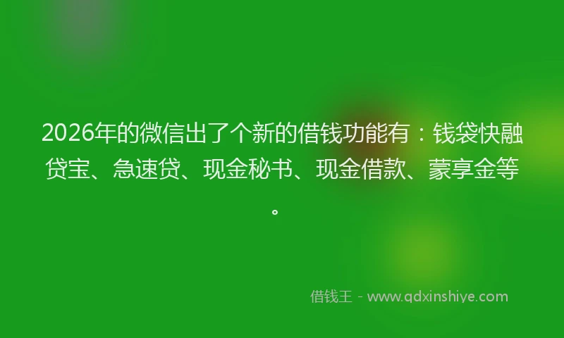 2026年的微信出了个新的借钱功能有：钱袋快融贷宝、急速贷、现金秘书、现金借款、蒙享金等。