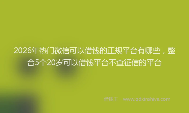 2026年热门微信可以借钱的正规平台有哪些,整合5个20岁可以借钱平台不查征信的平台