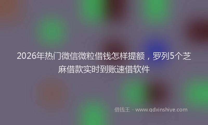 2026年热门微信微粒借钱怎样提额，罗列5个芝麻借款实时到账速借软件