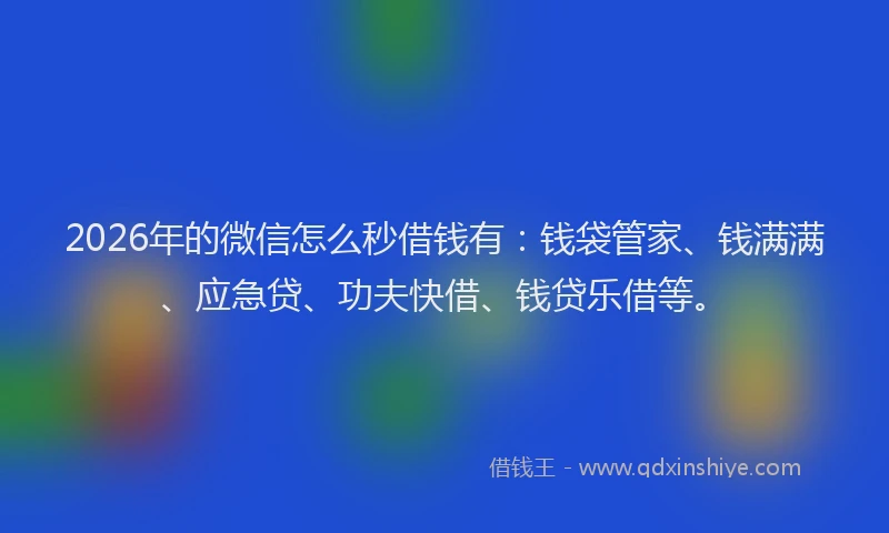 2026年的微信怎么秒借钱有：钱袋管家、钱满满、应急贷、功夫快借、钱贷乐借等。