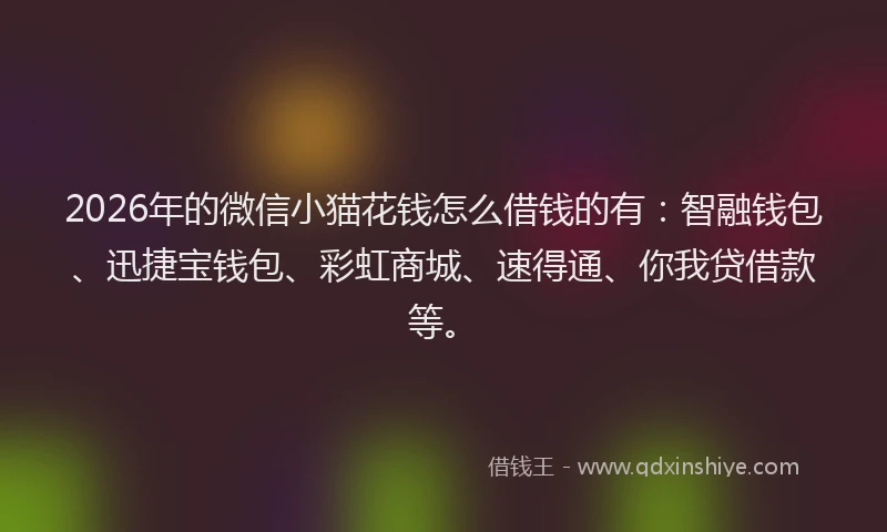 2026年的微信小猫花钱怎么借钱的有：智融钱包、迅捷宝钱包、彩虹商城、速得通、你我贷借款等。