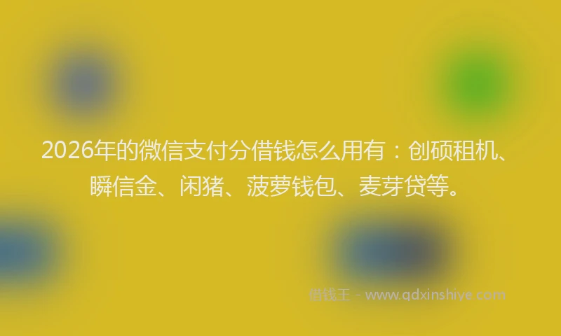 2026年的微信支付分借钱怎么用有:创硕租机、瞬信金、闲猪、菠萝钱包、麦芽贷等。