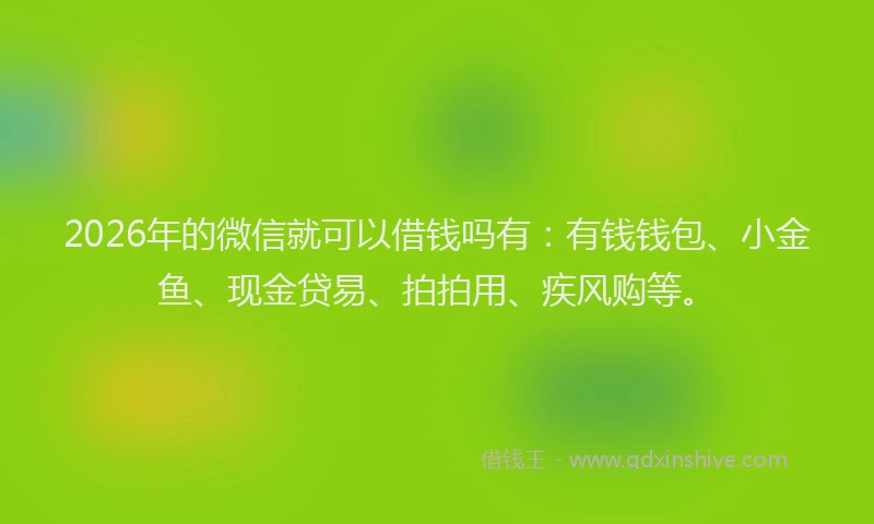 2026年的微信就可以借钱吗有：有钱钱包、小金鱼、现金贷易、拍拍用、疾风购等。
